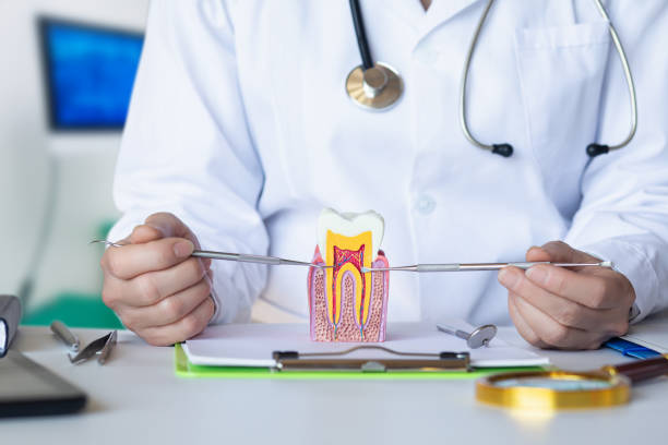 Best Emergency Dentist for Lost Fillings or Crowns in Ludington, MI